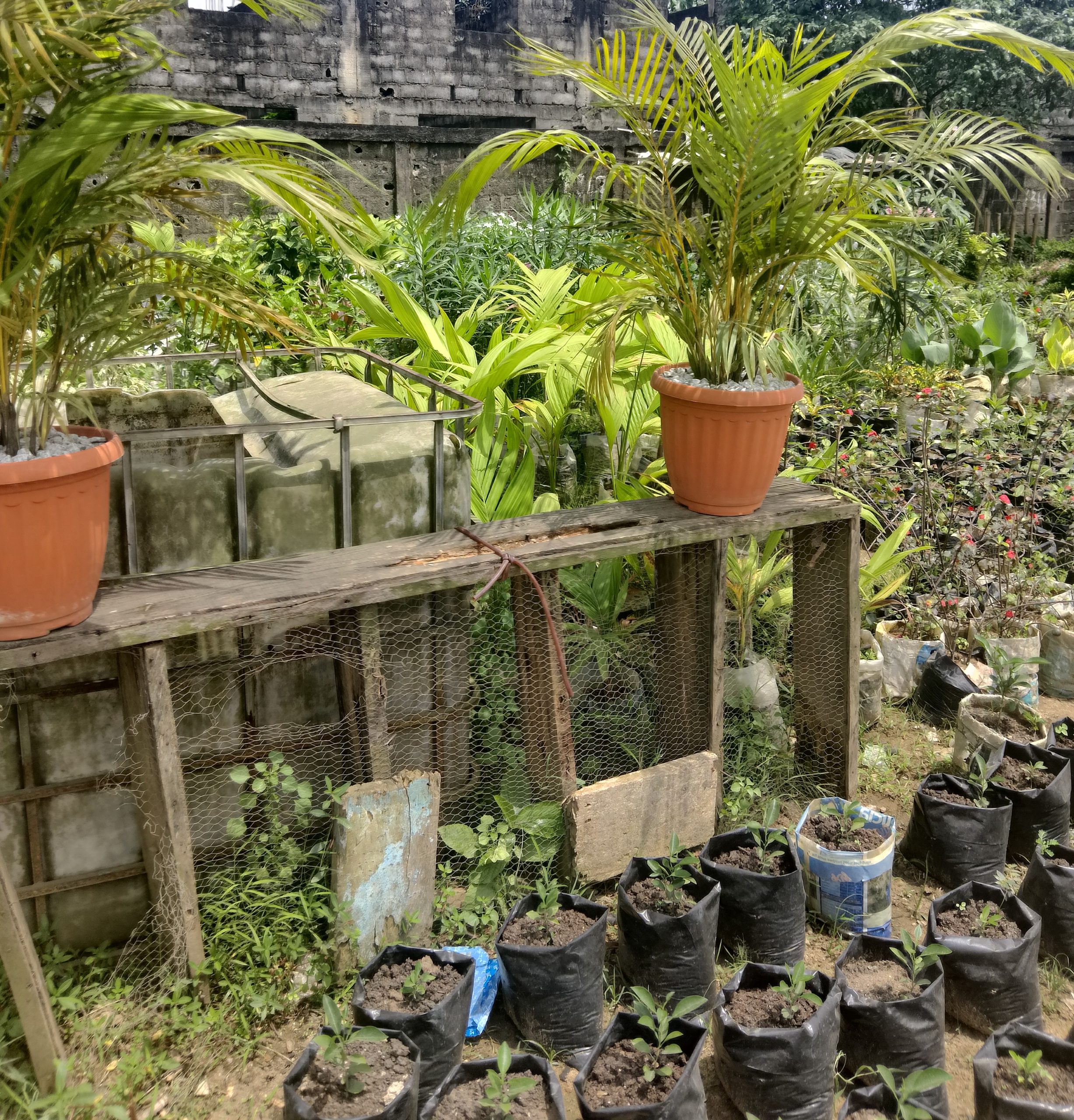 Jardinier professionnel