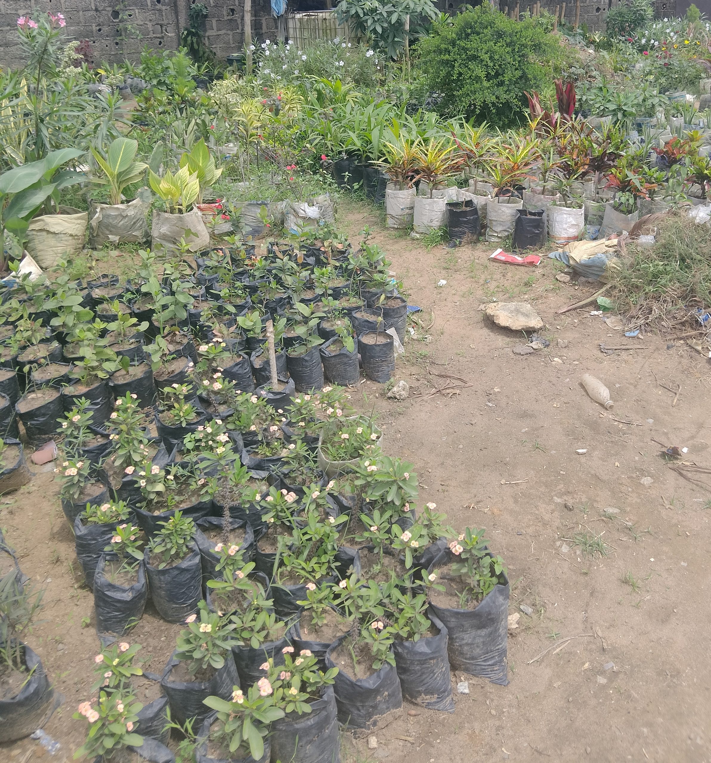 Jardinier professionnel