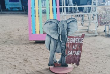 Safari décor