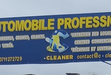 LAVAGE AUTOMOBILE PROFESSIONNEL