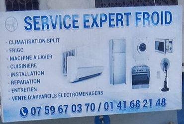 SERVICE EXPERT FROID