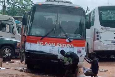 David pièces détachées auto