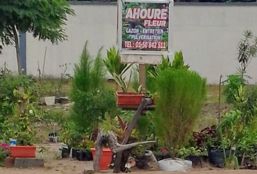 Ahouré et fils fleur