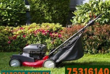 Jardinier professionnel