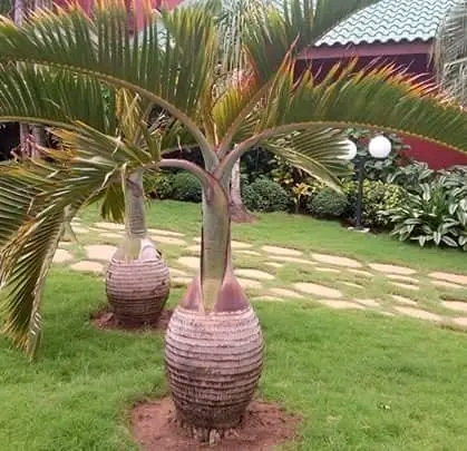 Jardinier professionnel