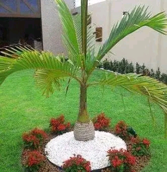 Jardinier pro