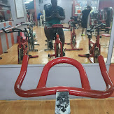 VITALIS SPORT SQUASH