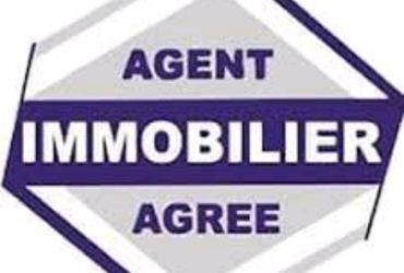 Roman agent immobilier