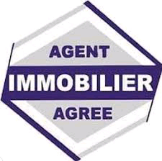 Roman agent immobilier