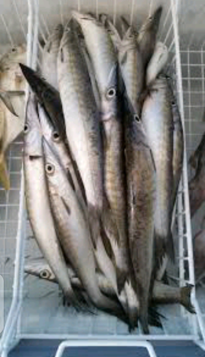 Gislaines