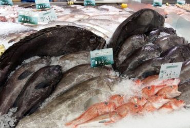 Poissonnerie VLC