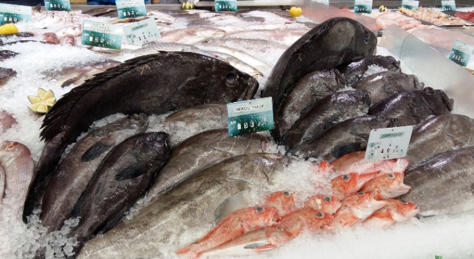 Poissonnerie VLC