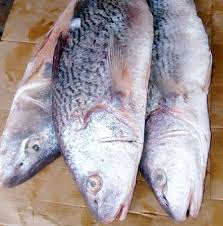 Poissonnerie