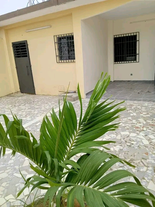 Agent immobilier