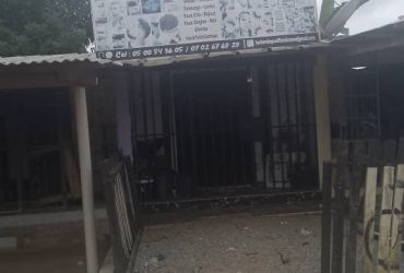 The barber shop plus