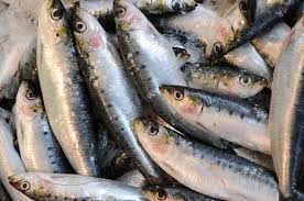 Poissonnerie