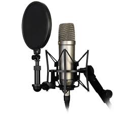 Artiste chanteur colegrape