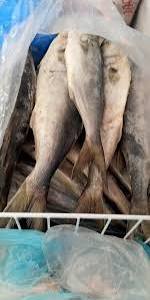 Poissonnerie
