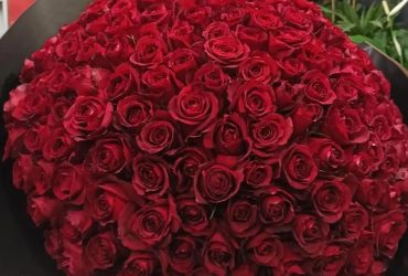 Fleurs